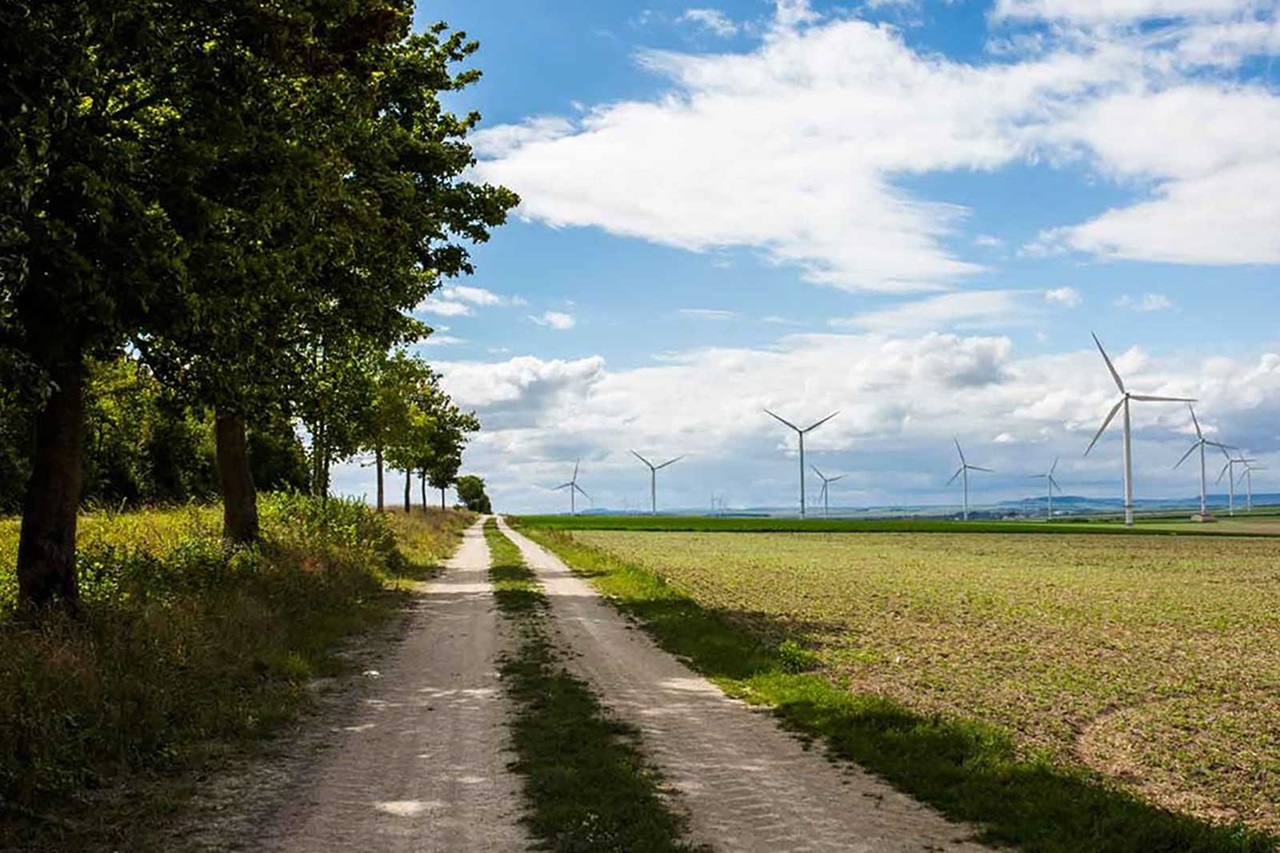 A dirt path lined with trees leads through an open field featuring several wind turbines under a blue sky with clouds.