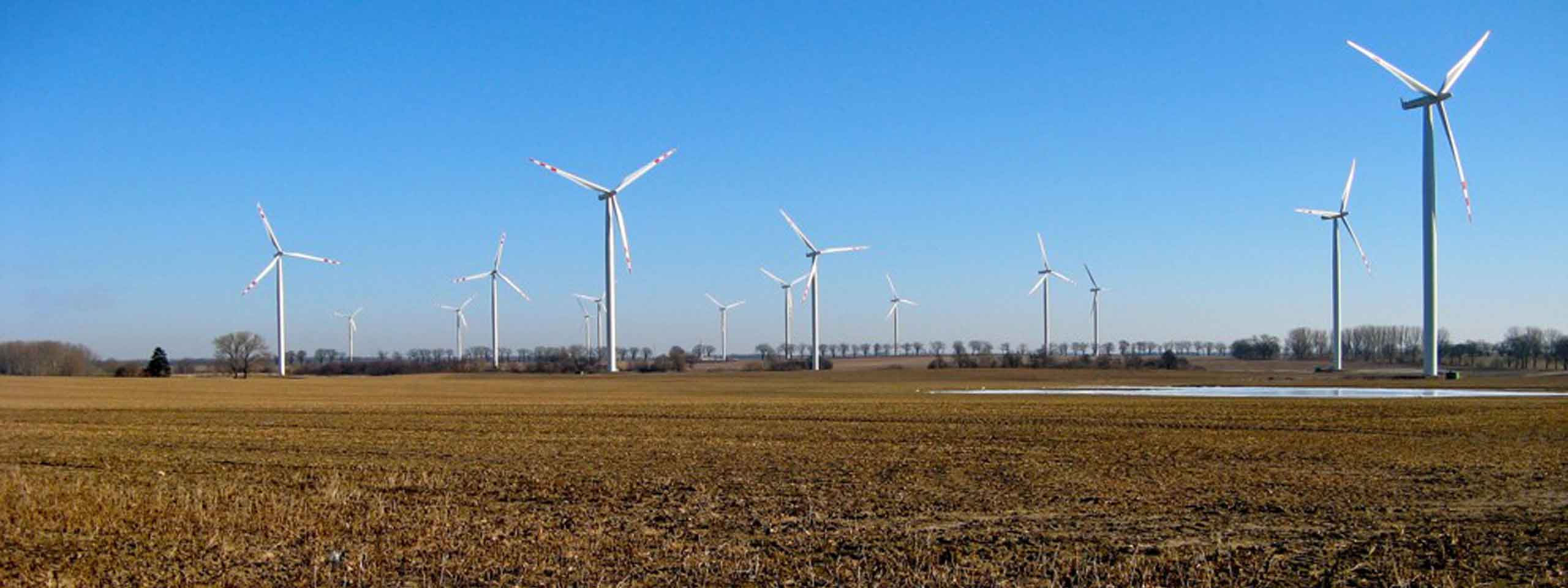 Rozległe pole z wieloma turbinami wiatrowymi pod jasnoniebieskim niebem, ilustrując energię odnawialną.